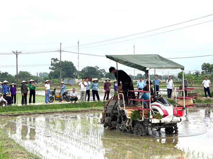 ĐẨY MẠNH CƠ GIỚI HÓA SẢN XUẤT LÚA, HƯỚNG TỚI NHỮNG CÁNH ĐỒNG MẪU LỚN- Ảnh 8.