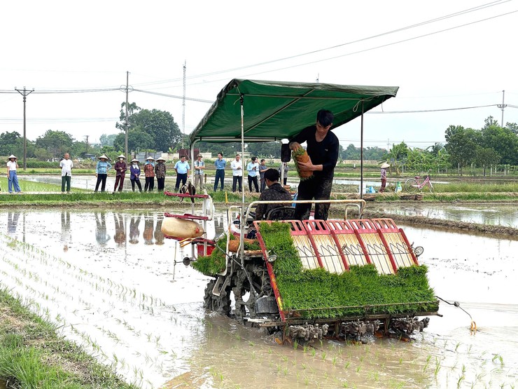 ĐẨY MẠNH CƠ GIỚI HÓA SẢN XUẤT LÚA, HƯỚNG TỚI NHỮNG CÁNH ĐỒNG MẪU LỚN- Ảnh 9.