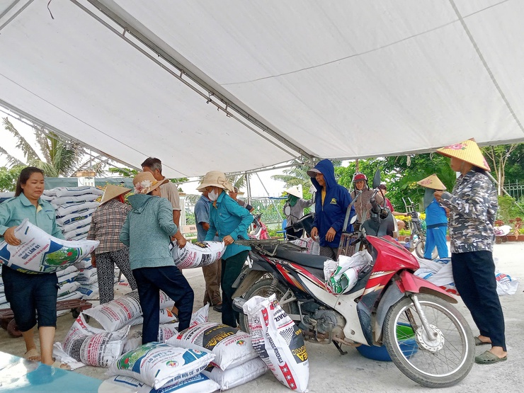 Cấp phát phân bón triển khai mô hình ứng dụng SRI kết hợp cấy máy vụ Mùa 2026.- Ảnh 3.