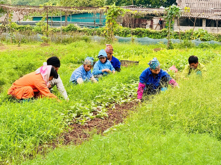 Hiện thực hóa khát vọng trở thành đô thị xanh- Ảnh 1.