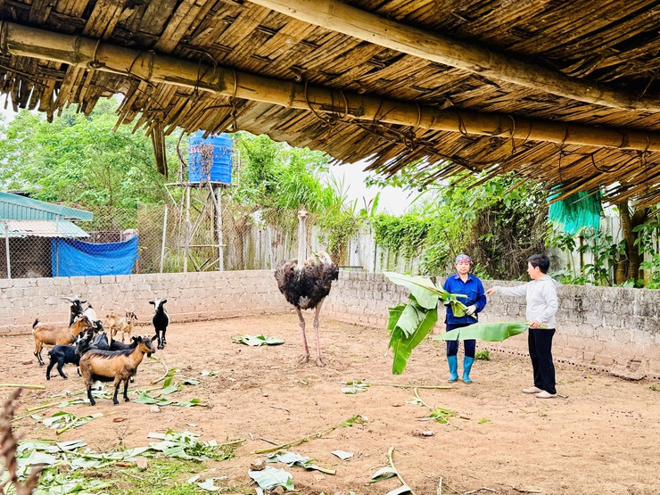 Hiện thực hóa khát vọng trở thành đô thị xanh- Ảnh 3.