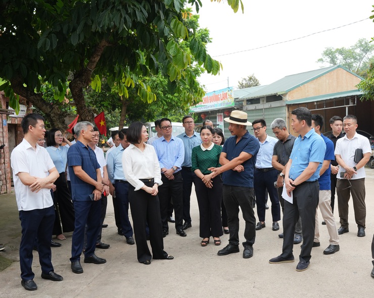 PHÓ CHỦ TỊCH UBND THÀNH PHỐ HÀ NỘI KHẢO SÁT CÔNG TÁC QUẢN LÝ, BẢO TỒN, TÔN TẠO VÀ PHÁT HUY GIÁ TRỊ DI TÍCH LÀNG CỔ Ở ĐƯỜNG LÂM- Ảnh 2.