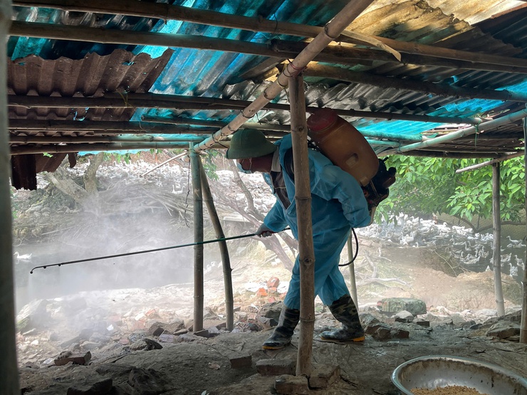Quang Minh chủ động bảo vệ đàn vật nuôi bằng giải pháp vệ sinh, khử trùng, tiêu độc và phun diệt ruồi năm 2026- Ảnh 1.