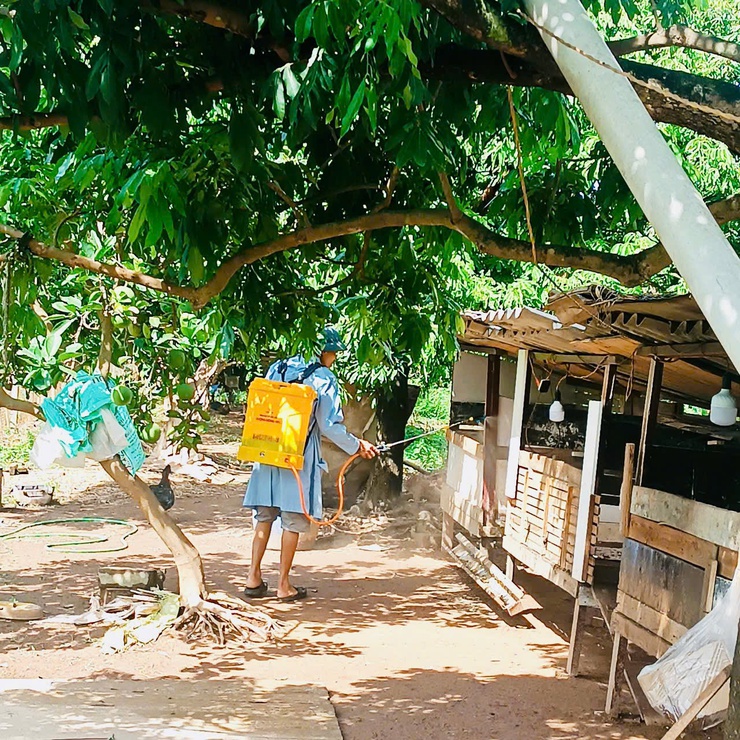 Nam Phù phun diệt ruồi, khử trùng tiêu độc sau tiêm phòng đại trà đợt 1 năm 2026- Ảnh 1.