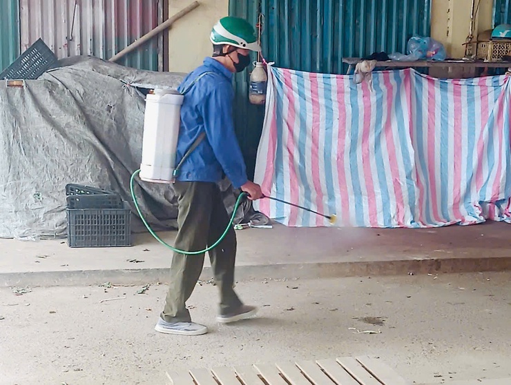 Nam Phù phun diệt ruồi, khử trùng tiêu độc sau tiêm phòng đại trà đợt 1 năm 2026- Ảnh 2.