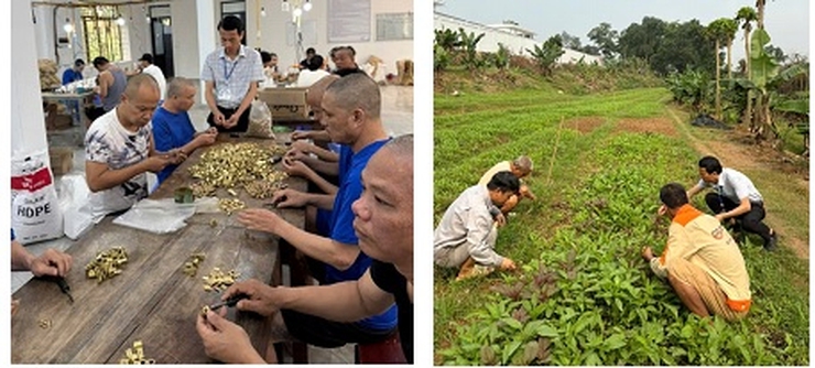  “CÂY SẤU” GIỮA MẢNH ĐỜI BÃO GIÔNG- Ảnh 3.