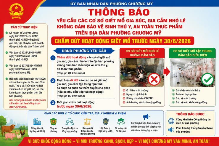 Phường Chương Mỹ yêu cầu các cơ sở giết mổ gia súc, gia cầm nhỏ lẻ không đảm bảo điều kiện chấm dứt hoạt động trước ngày 30/6/2026- Ảnh 1.