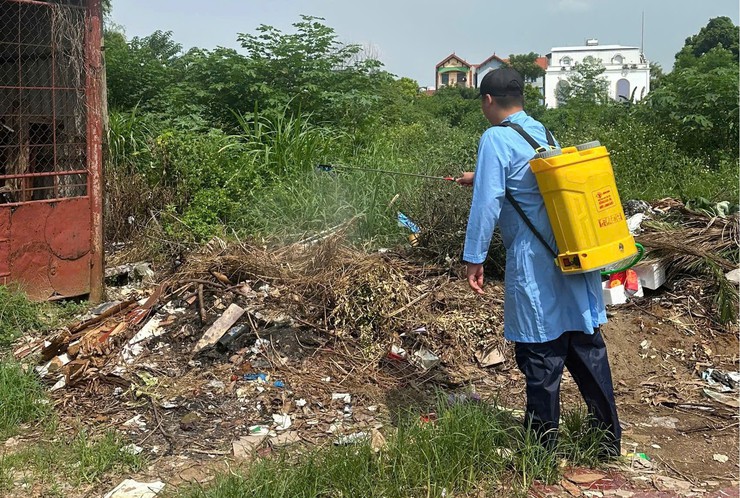 Bát Tràng triển khai phun diệt ruồi, tăng cường bảo vệ đàn vật nuôi- Ảnh 1.