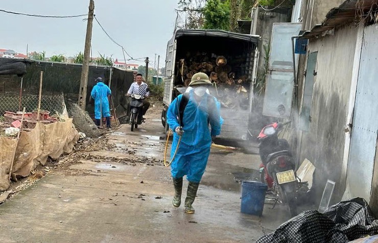 Bát Tràng triển khai phun diệt ruồi, tăng cường bảo vệ đàn vật nuôi- Ảnh 4.
