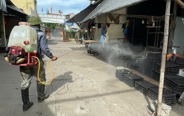 Bát Tràng triển khai phun diệt ruồi, tăng cường bảo vệ đàn vật nuôi- Ảnh 6.