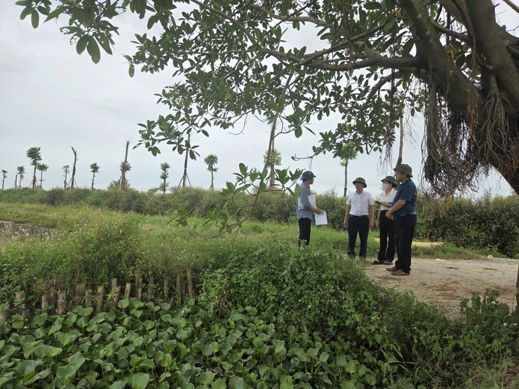 Xã Bình Minh kiểm tra hệ thống công trình thủy lợi, chủ động ứng phó mùa mưa bão năm 2026- Ảnh 2.
