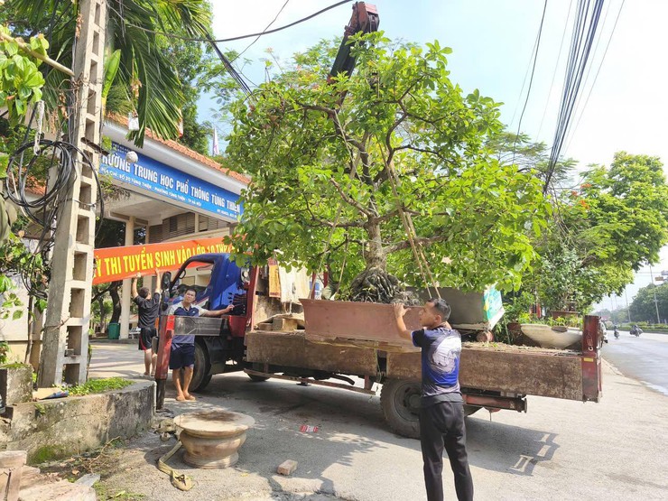 Phường Tùng Thiện ra quân xử lý chậu cây, vật dụng lấn chiếm vỉa hè, lòng đường – kiên quyết lập lại trật tự đô thị

- Ảnh 5.