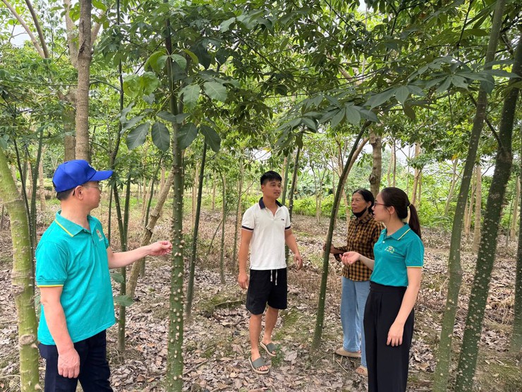 Hội Nông dân xã Gia Lâm tăng cường kiểm tra, giám sát các nguồn vốn vay hỗ trợ hội viên phát triển kinh tế- Ảnh 1.