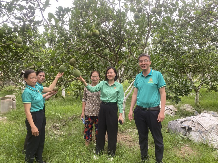 Hội Nông dân xã Thư Lâm hỗ trợ hội viên tiếp cận nguồn vốn Quỹ Hỗ trợ nông dân- Ảnh 3.
