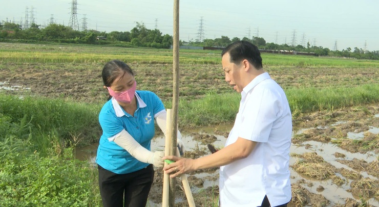 THƯ LÂM RA QUÂN TRỒNG 360 CÂY BÀNG ĐÀI LOAN XÂY DỰNG TUYẾN ĐƯỜNG XANH- Ảnh 12.