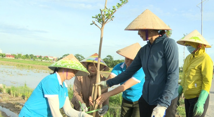 THƯ LÂM RA QUÂN TRỒNG 360 CÂY BÀNG ĐÀI LOAN XÂY DỰNG TUYẾN ĐƯỜNG XANH- Ảnh 16.