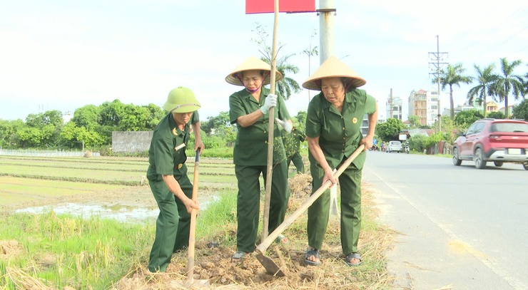 THƯ LÂM RA QUÂN TRỒNG 360 CÂY BÀNG ĐÀI LOAN XÂY DỰNG TUYẾN ĐƯỜNG XANH- Ảnh 20.