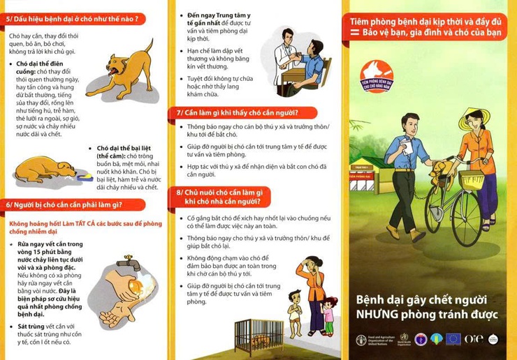 Chủ động phòng, chống bệnh dại – không chủ quan khi bị chó mèo cắn, cào hoặc liếm vào vùng da bị tổn thương- Ảnh 1.