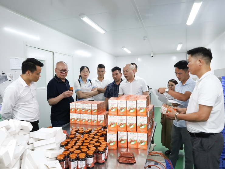 Hội Doanh nghiệp xã Suối Hai tổ chức chương trình tham quan, kết nối và chia sẻ kinh nghiệm phát triển doanh nghiệp - Ảnh 3.