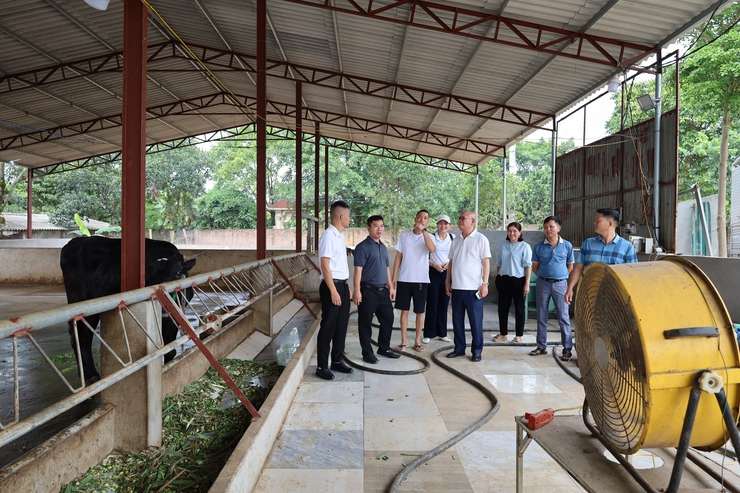 Hội Doanh nghiệp xã Suối Hai tiếp tục chương trình tham quan kết nối và chia sẻ kinh nghiệm phát triển doanh nghiệp- Ảnh 5.