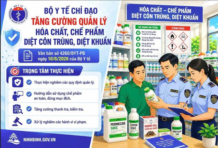 Tăng cường quản lý, sử dụng an toàn hóa chất, chế phẩm diệt côn trùng, diệt khuẩn dùng trong lĩnh vực gia dụng và y tế- Ảnh 1.