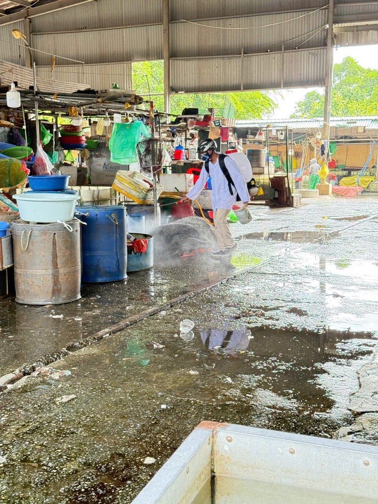 Xã Đại Thanh tổ chức phun thuốc diệt ruồi tại các chợ trên địa bàn- Ảnh 2.