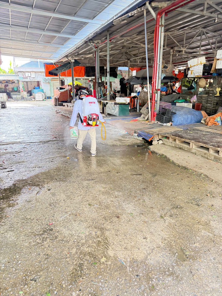 Xã Đại Thanh tổ chức phun thuốc diệt ruồi tại các chợ trên địa bàn- Ảnh 3.