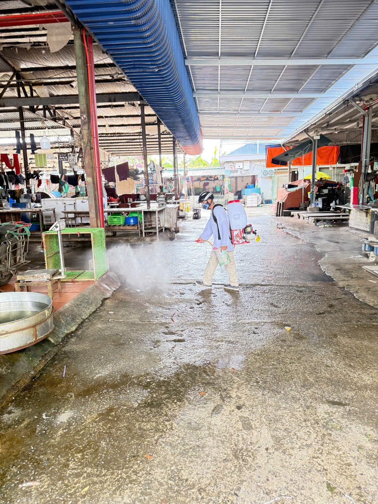 Xã Đại Thanh tổ chức phun thuốc diệt ruồi tại các chợ trên địa bàn- Ảnh 1.
