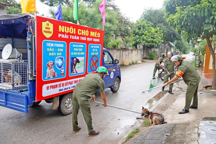 Xã Đoài Phương ra quân tuyên truyền, kiểm tra, tuần tra bắt chó thả rông- Ảnh 3.