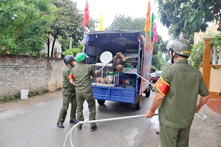 Xã Đoài Phương ra quân tuyên truyền, kiểm tra, tuần tra bắt chó thả rông- Ảnh 4.