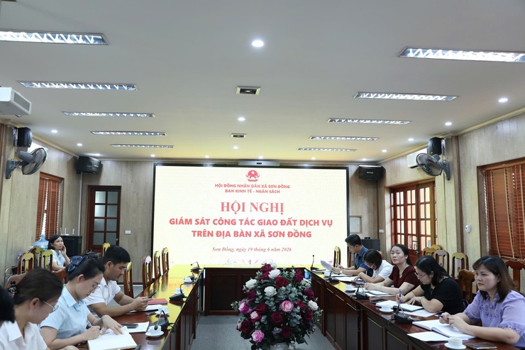 Ban Kinh tế - Ngân sách HĐND xã giám sát công tác giao đất dịch vụ trên địa bàn xã Sơn Đồng- Ảnh 1.