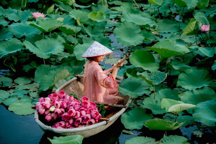 Nghệ thuật chế biến Trà sen Tây Hồ- Ảnh 2.