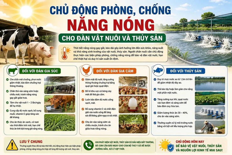 CHỦ ĐỘNG PHÒNG, CHỐNG NẮNG NÓNG CHO ĐÀN VẬT NUÔI- Ảnh 1.