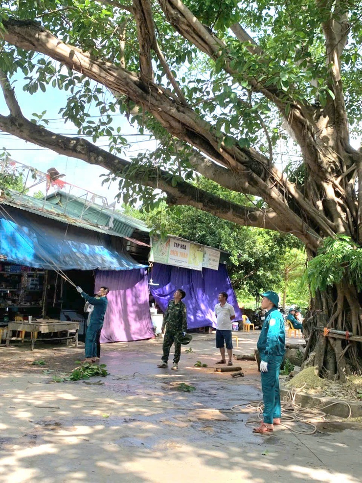Ban Chỉ huy Quân sự xã Phú Nghĩa phối hợp tổ chức cắt tỉa cây xanh, bảo đảm an toàn trong mùa mưa bão- Ảnh 2.