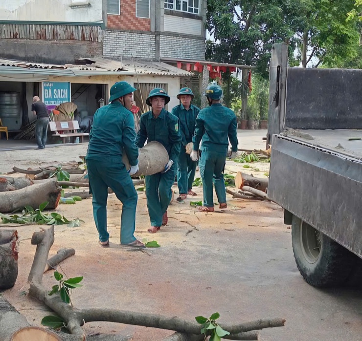 Ban Chỉ huy Quân sự xã Phú Nghĩa phối hợp tổ chức cắt tỉa cây xanh, bảo đảm an toàn trong mùa mưa bão- Ảnh 4.
