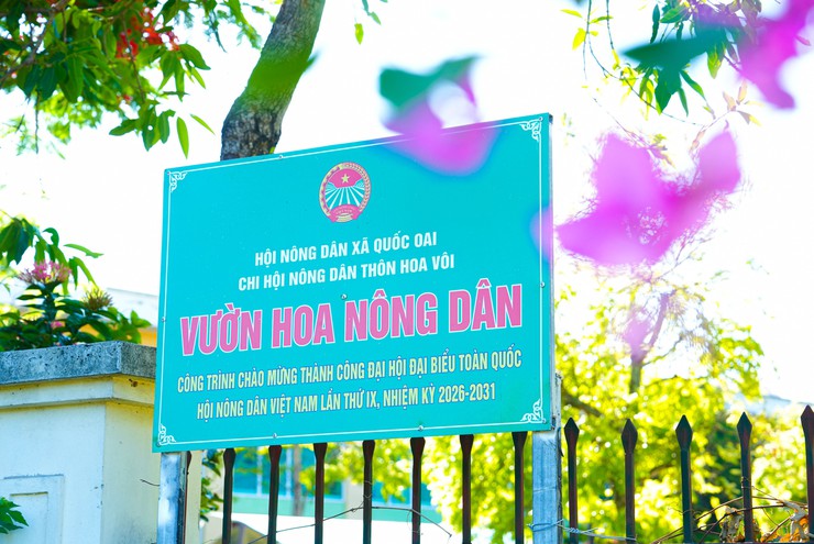 HỘI NÔNG DÂN XÃ QUỐC OAI GẮN BIỂN CÔNG TRÌNH "VƯỜN HOA NÔNG DÂN" VÀ MÔ HÌNH "NUÔI CÁ TRẮM ĐEN THÂM CANH" CHÀO MỪNG THÀNH CÔNG ĐẠI HỘI ĐẠI BIỂU TOÀN QUỐC HỘI NÔNG DÂN VIỆT NAM LẦN THỨ IX- Ảnh 3.