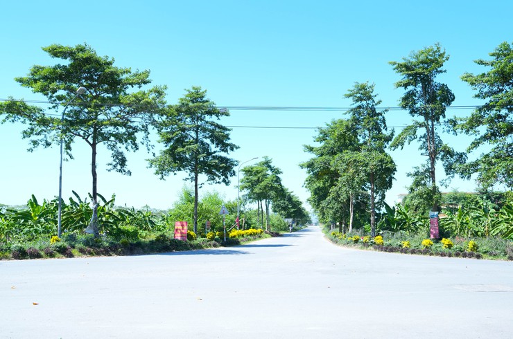 Đoàn kiểm tra số 3 xã Quốc Oai kiểm tra, chấm điểm cuộc thi “Giữ gìn thôn Sáng – Xanh – Sạch – Đẹp – An toàn”- Ảnh 6.