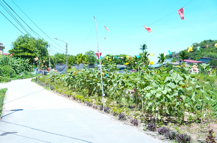 Đoàn kiểm tra số 3 xã Quốc Oai kiểm tra, chấm điểm cuộc thi “Giữ gìn thôn Sáng – Xanh – Sạch – Đẹp – An toàn”- Ảnh 9.