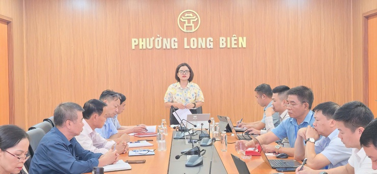 Phường Long Biên giám sát chuyên đề việc thực hiện Nghị quyết của Đảng uỷ phường về công tác phòng cháy, chữa cháy- Ảnh 1.