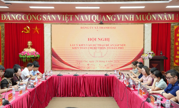 ĐẢNG ỦY XÃ THANH OAI LẤY Ý KIẾN VÀO DỰ THẢO ĐỀ ÁN SẮP XẾP, KIỆN TOÀN CHI BỘ THÔN, TỔ DÂN PHỐ- Ảnh 3.