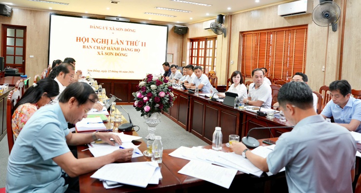 Sơn Đồng tổ chức Hội nghị Ban Chấp hành Đảng bộ xã cho ý kiến vào các nhiệm vụ trọng tâm- Ảnh 1.