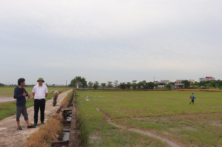 Đồng chí Phó Bí thư Thường trực Đảng uỷ xã kiểm tra tình hình sản xuất vụ Mùa năm 2026- Ảnh 2.
