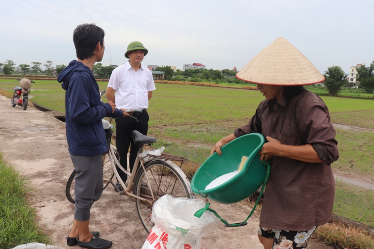 Đồng chí Phó Bí thư Thường trực Đảng uỷ xã kiểm tra tình hình sản xuất vụ Mùa năm 2026- Ảnh 3.