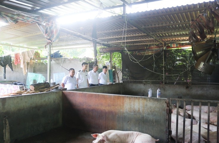Quốc Oai quyết tâm chấm dứt cơ sở giết mổ nhỏ lẻ trước 30-6- Ảnh 3.