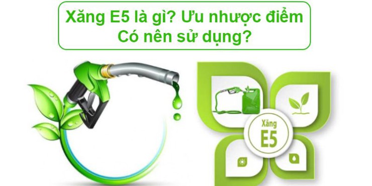 Sử dụng xăng sinh học E5 - Hành động nhỏ, ý nghĩa lớn vì môi trường xanh - Ảnh 1.