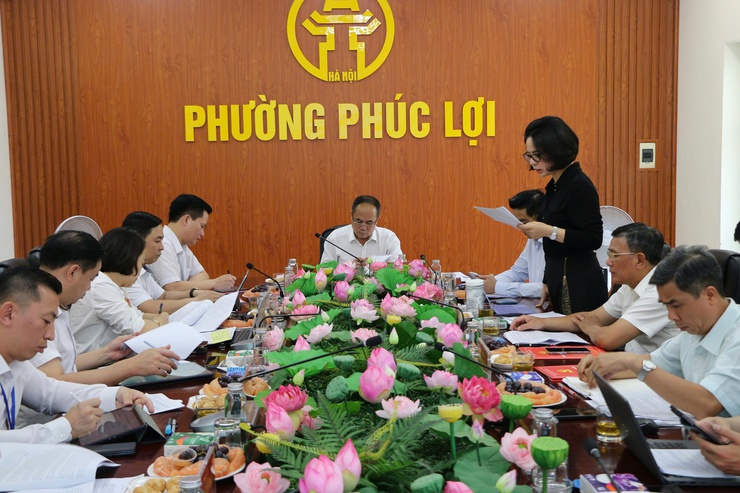 Đoàn Giám sát số 10 của Ban Thường vụ Thành ủy Hà Nội làm việc với phường Phúc Lợi- Ảnh 4.