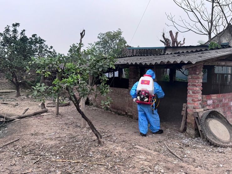 Vĩnh Thanh triển khai phun diệt ruồi, vệ sinh, khử trùng tiêu độc phòng chống dịch bệnh động vật năm 2026- Ảnh 4.