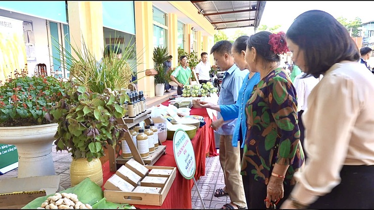 Liên kết sản xuất và tiêu thụ sản phẩm nông nghiệp – Đồng hành cùng nông dân phát triển bền vững- Ảnh 12.