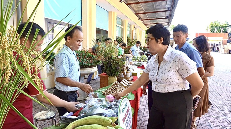Liên kết sản xuất và tiêu thụ sản phẩm nông nghiệp – Đồng hành cùng nông dân phát triển bền vững- Ảnh 13.
