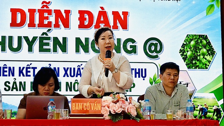 Liên kết sản xuất và tiêu thụ sản phẩm nông nghiệp – Đồng hành cùng nông dân phát triển bền vững- Ảnh 10.
